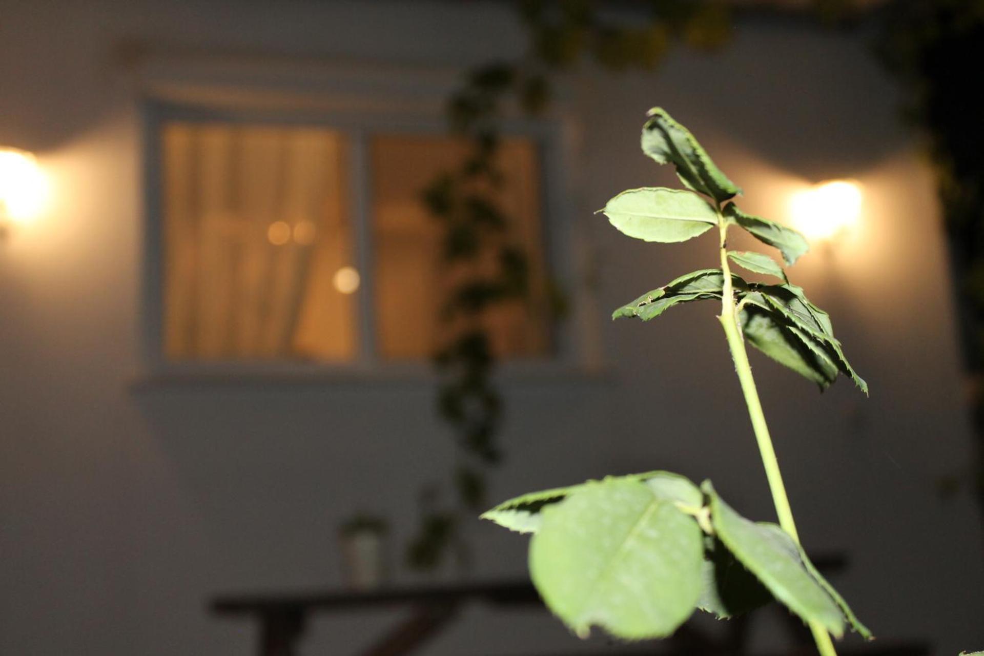 Ηώς Apartment Thassos 외부 사진